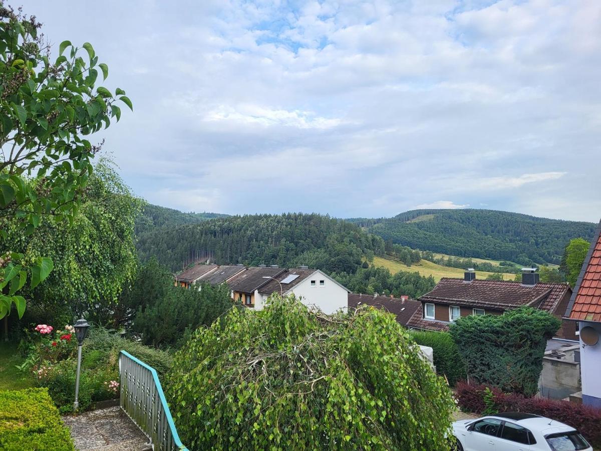 Birkenstuebchen Lägenhet Lautenthal Exteriör bild