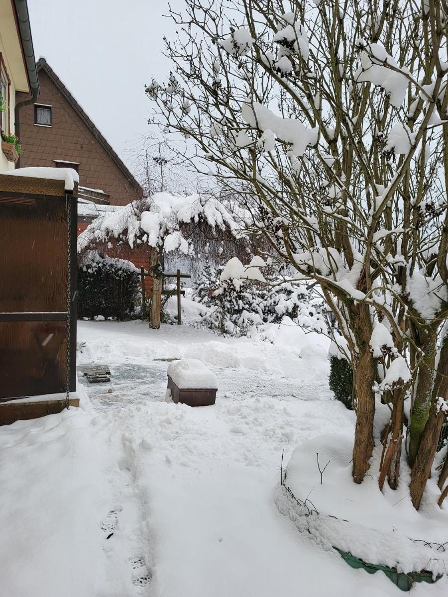 Birkenstuebchen Lägenhet Lautenthal Exteriör bild
